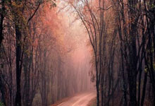 世俱杯女足赛充满悬念，各队争夺桂冠尝试超越自我