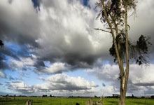 法国队将与德国展开较量