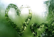 沙尔克遇到挑战，球队需全力以赴应对