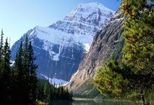 捷克选手力克强敌，获得冠军