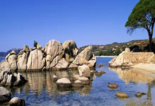 伊朗球队面对困境毅然自强，坚定信念